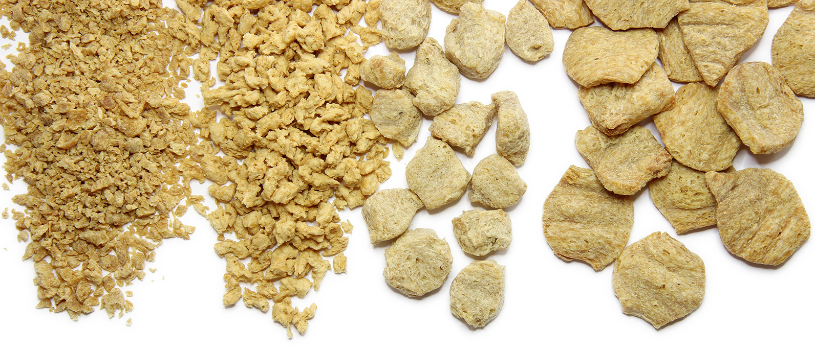 Various shapes of textured vegetable protein on FakeMeats.com